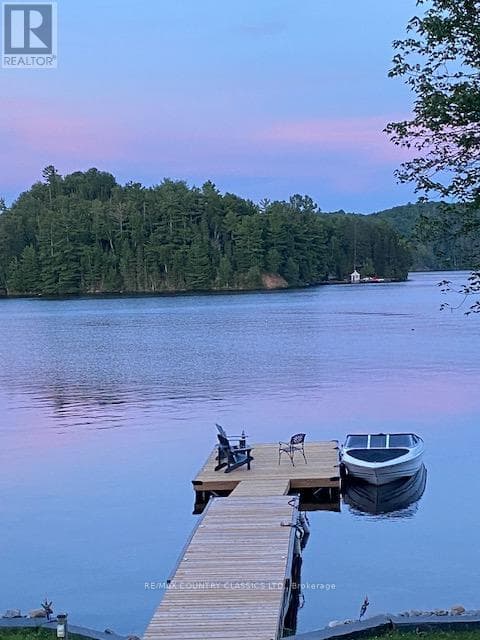 1787 NORTH BAPTISTE LAKE ROAD, Renfrew County — photo 3
