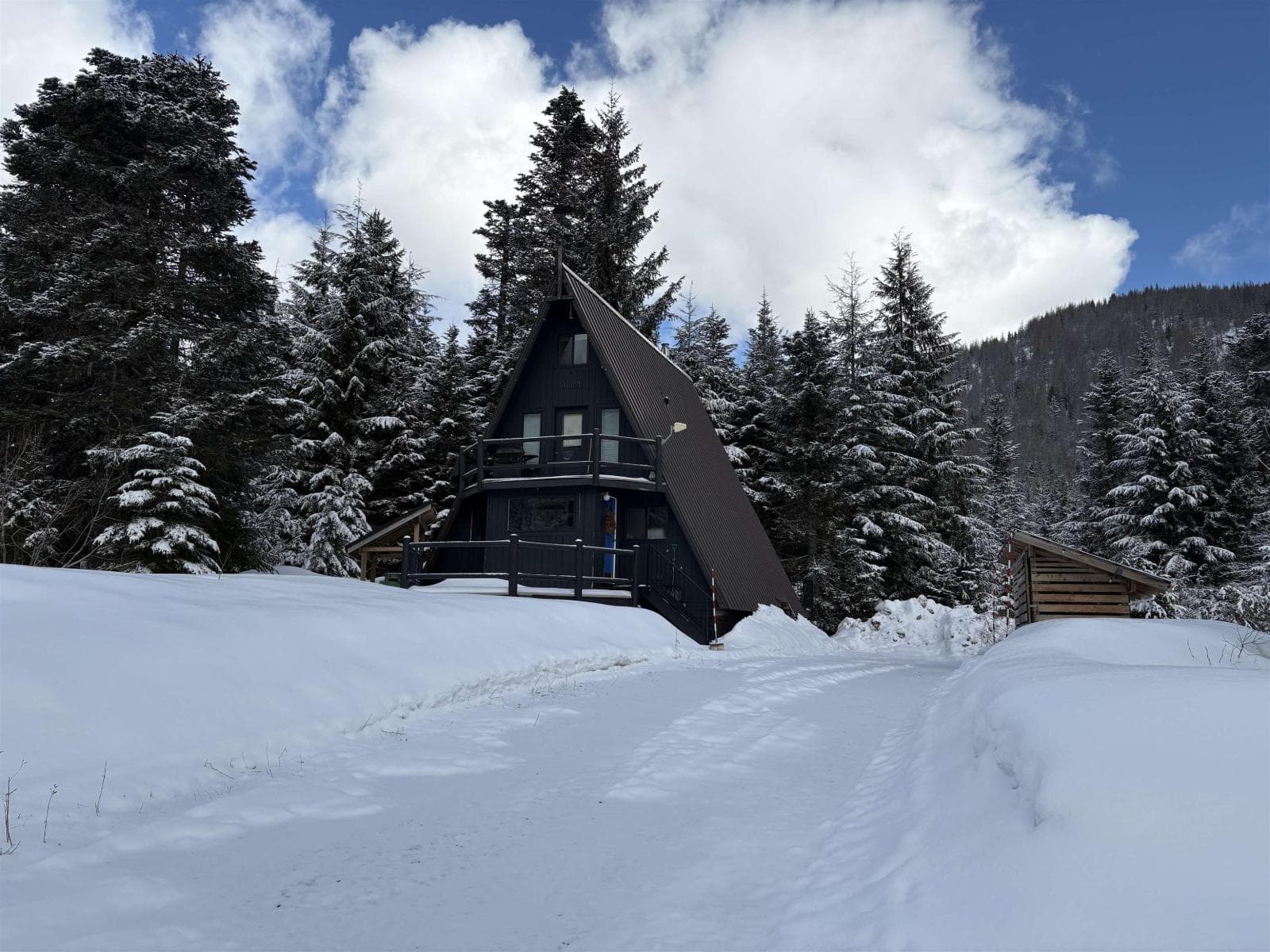 1 46891 SAWKI CREEK ROAD in 