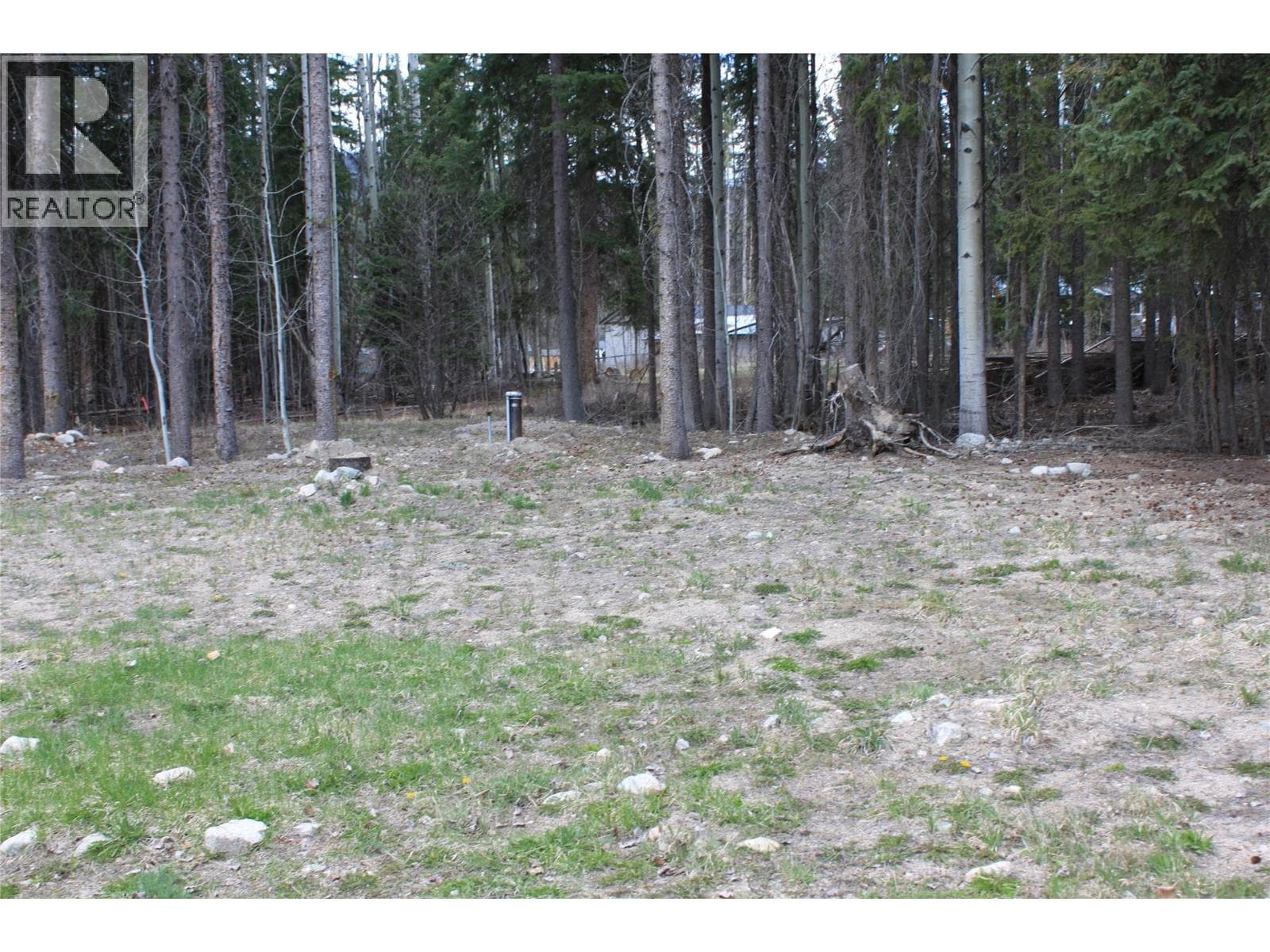 210 Link Lake Road, Interior REALTORS® — photo 5