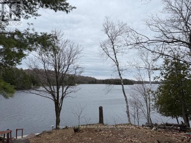 36 ST OLA LAKE SHORE E in 