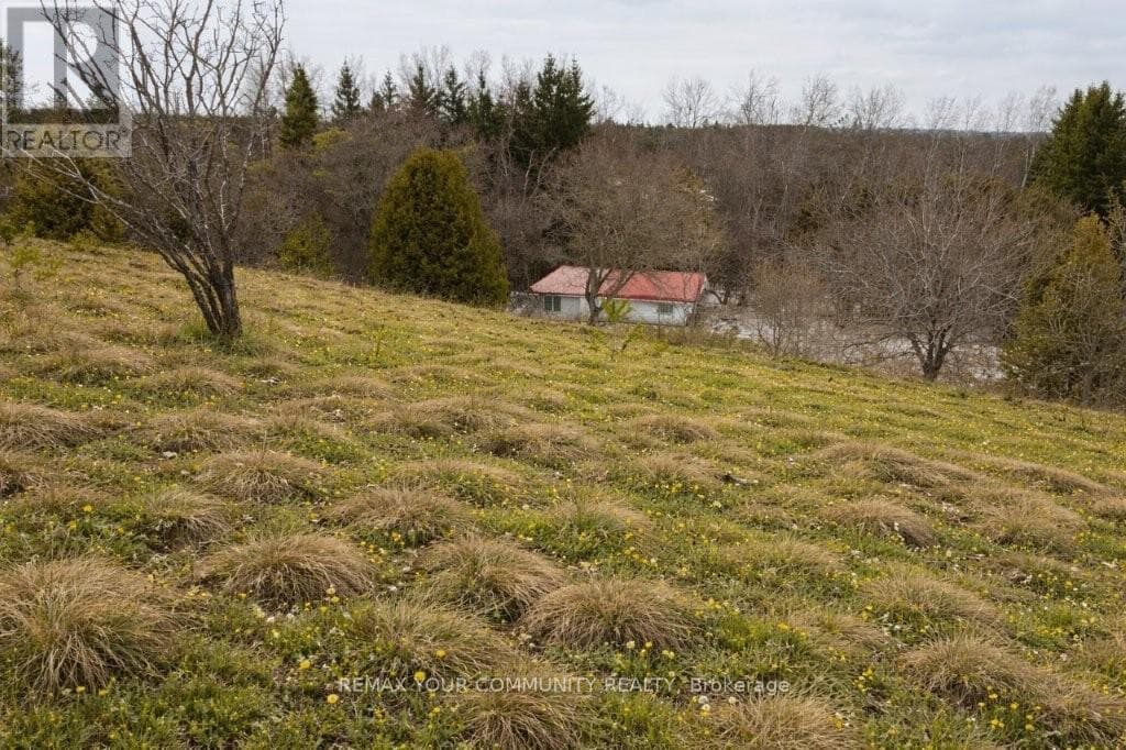 22772 WEIRS SIDE ROAD, Toronto — photo 3