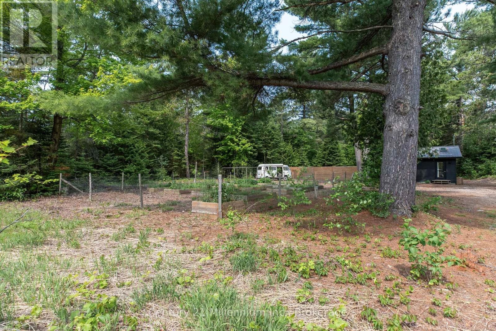 204 OGIMAH ROAD, OnePoint — photo 5