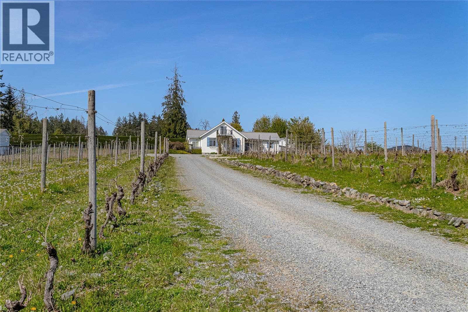 6798 NORCROSS ROAD, Victoria — photo 4