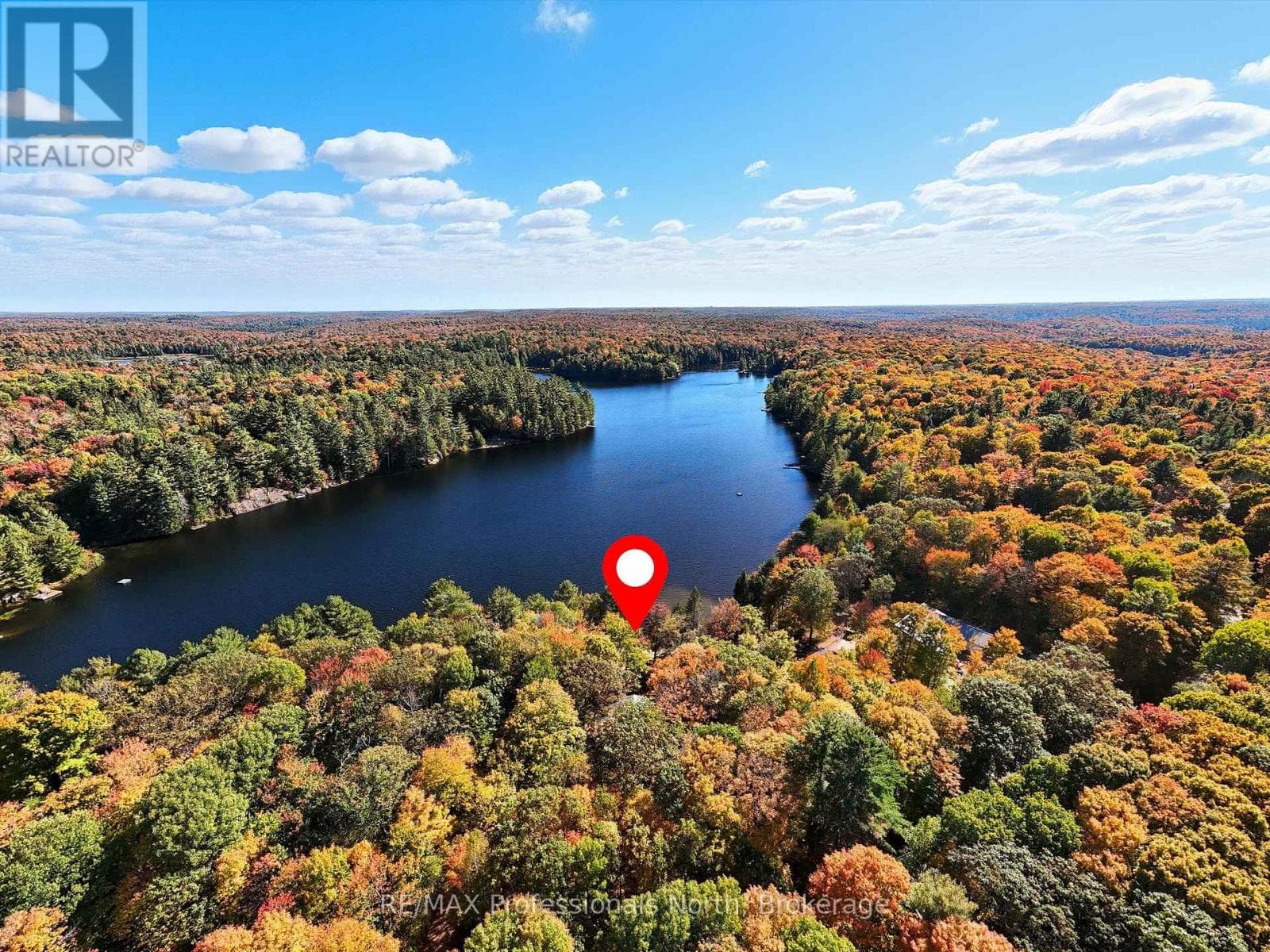 293 OTTER LAKE ROAD, OnePoint — photo 3