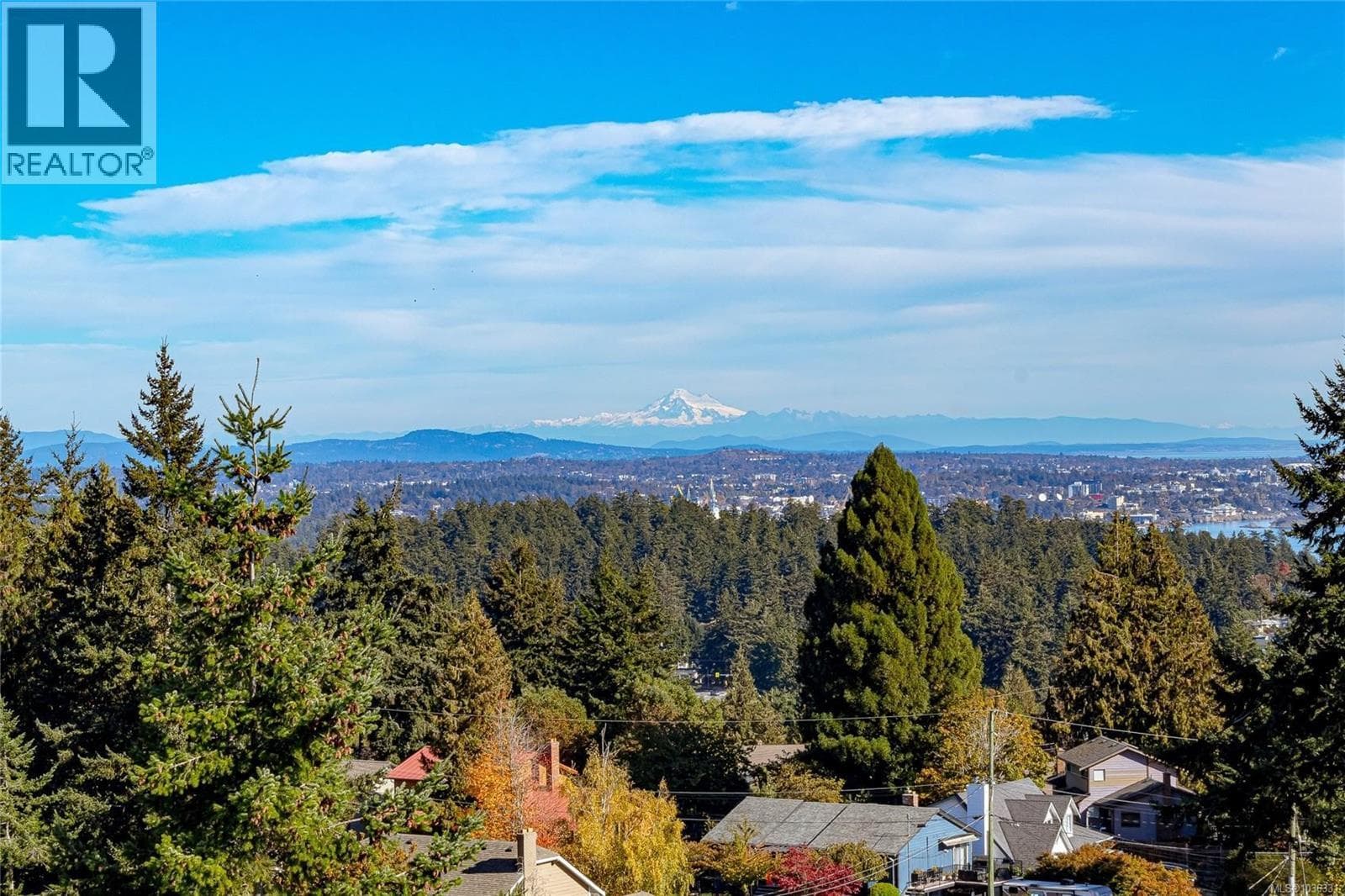 3387 Haida Dr in 