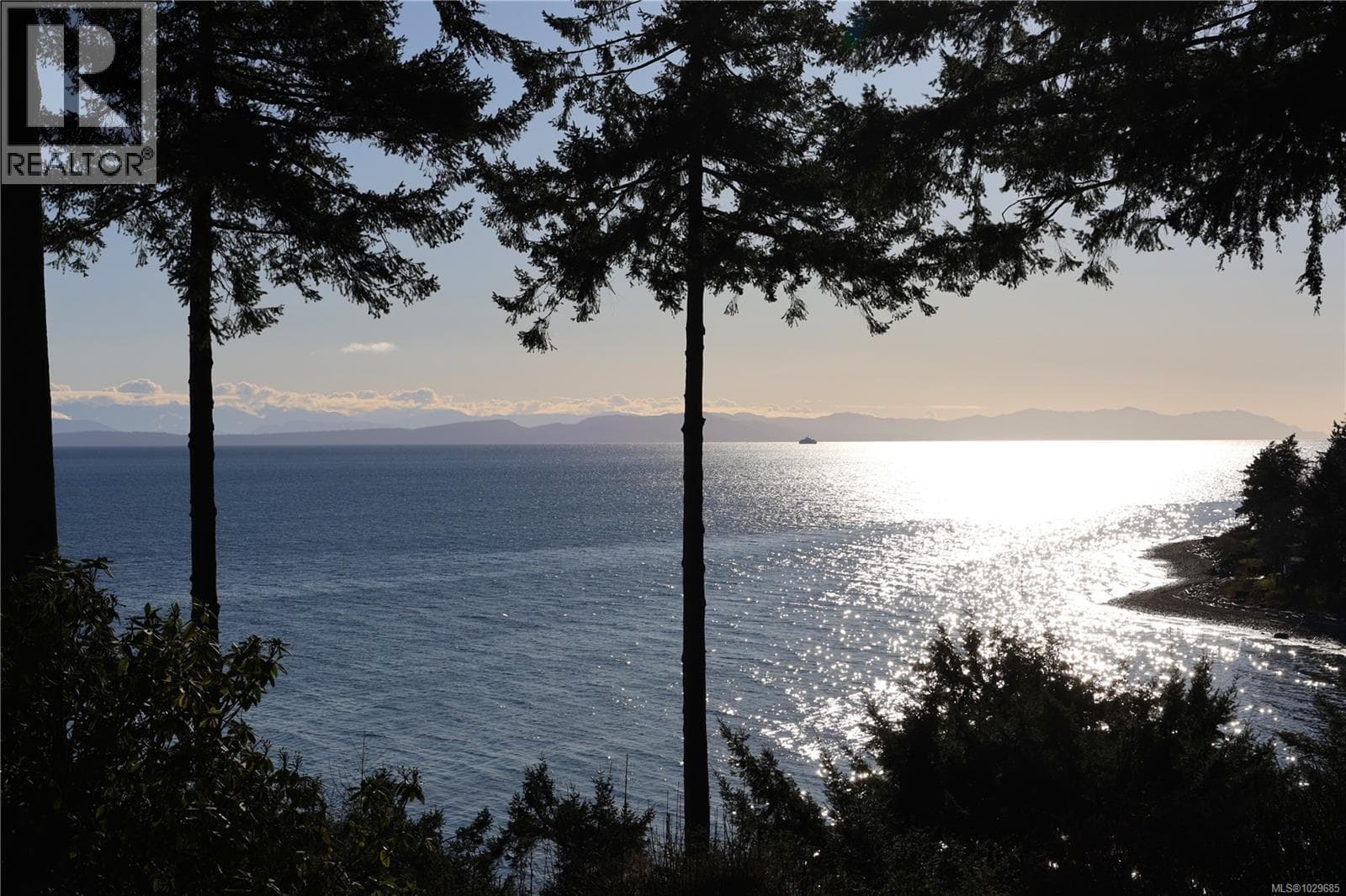 5862 Aldergrove Dr, Vancouver Island — photo 4