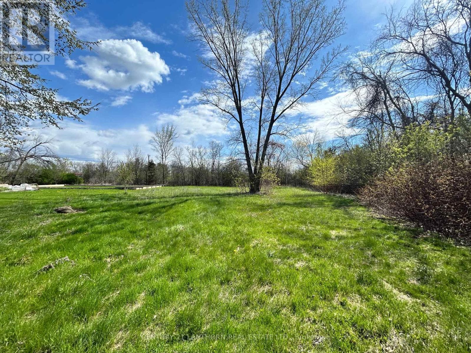 784 COUNTY ROAD 28, Central Lakes — photo 4
