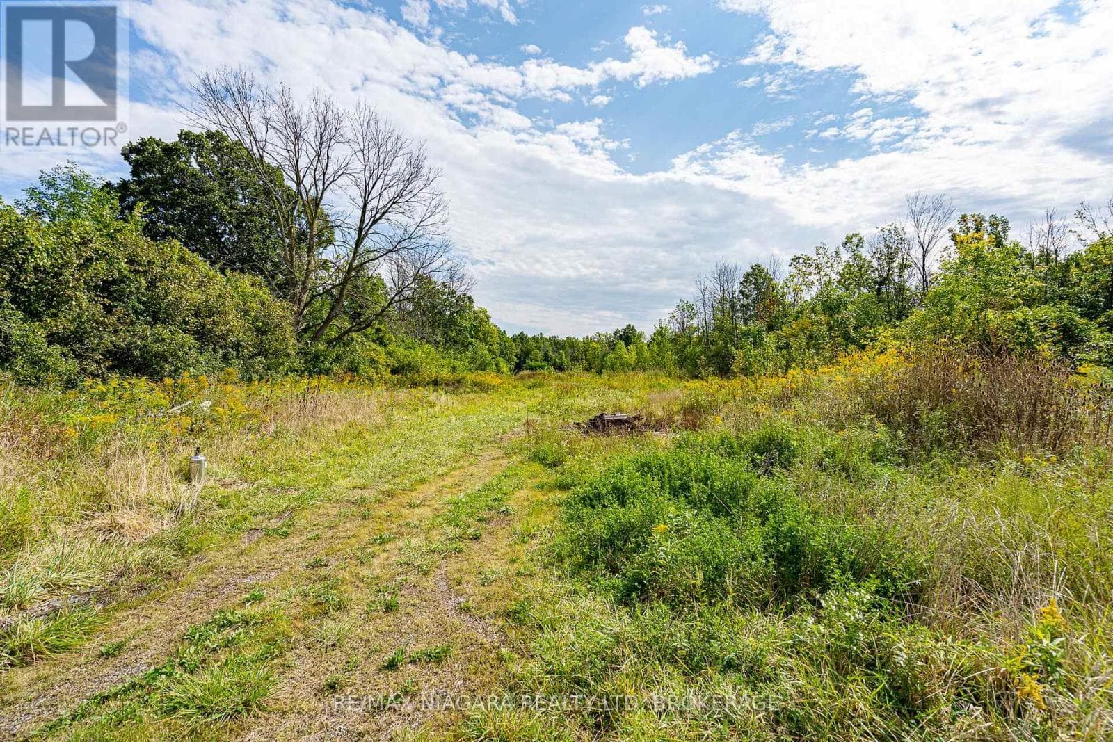 487 FOUR MILE CREEK ROAD, Niagara — photo 5