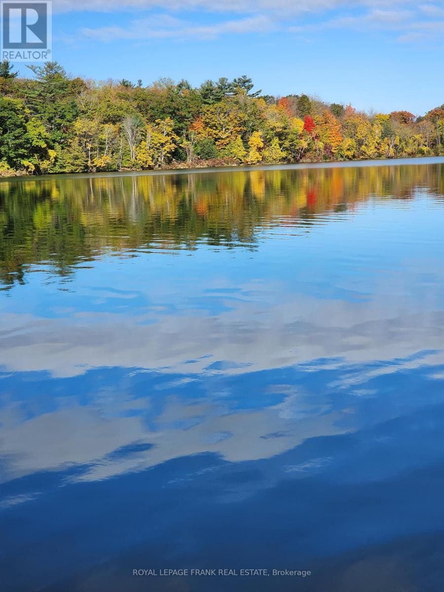 2A WHITES ISLAND, Central Lakes — photo 4