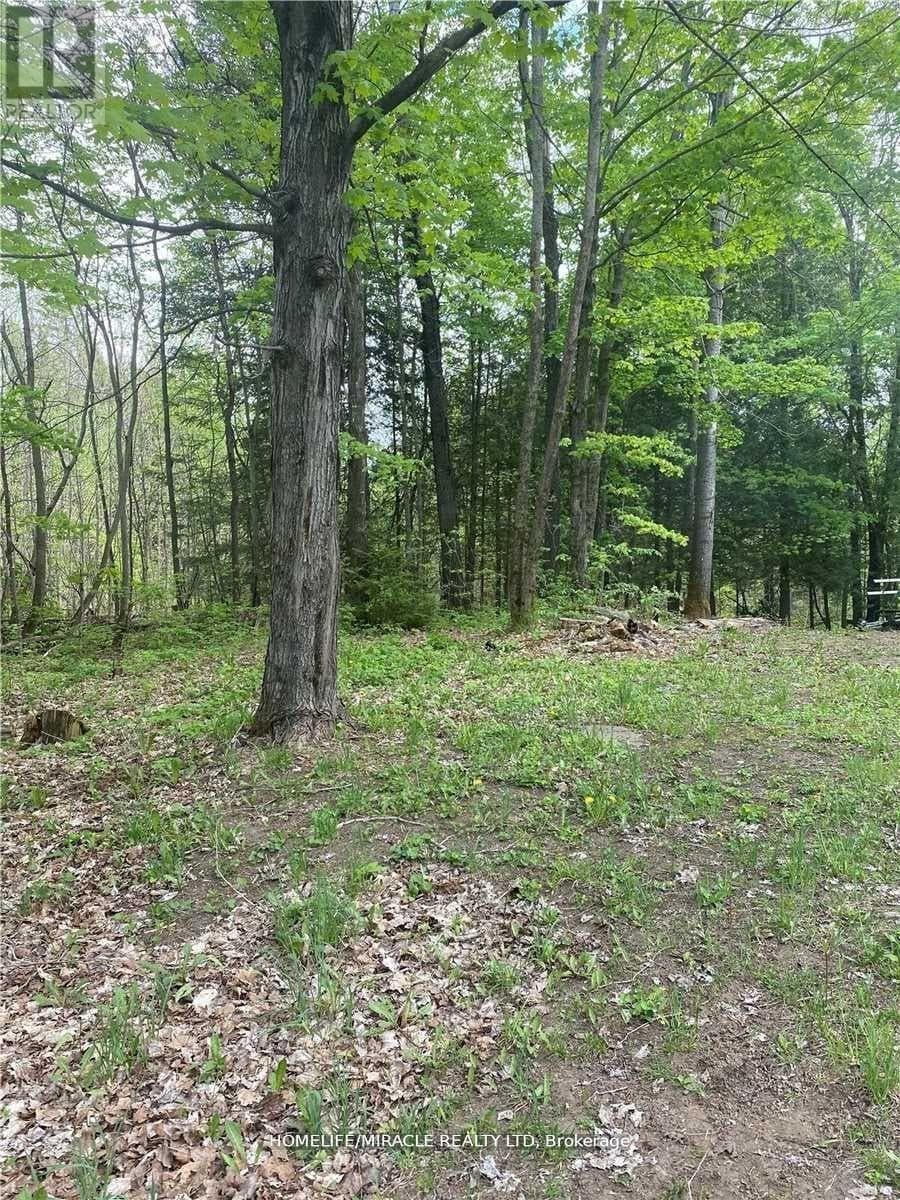 3460 HARBURN ROAD in 