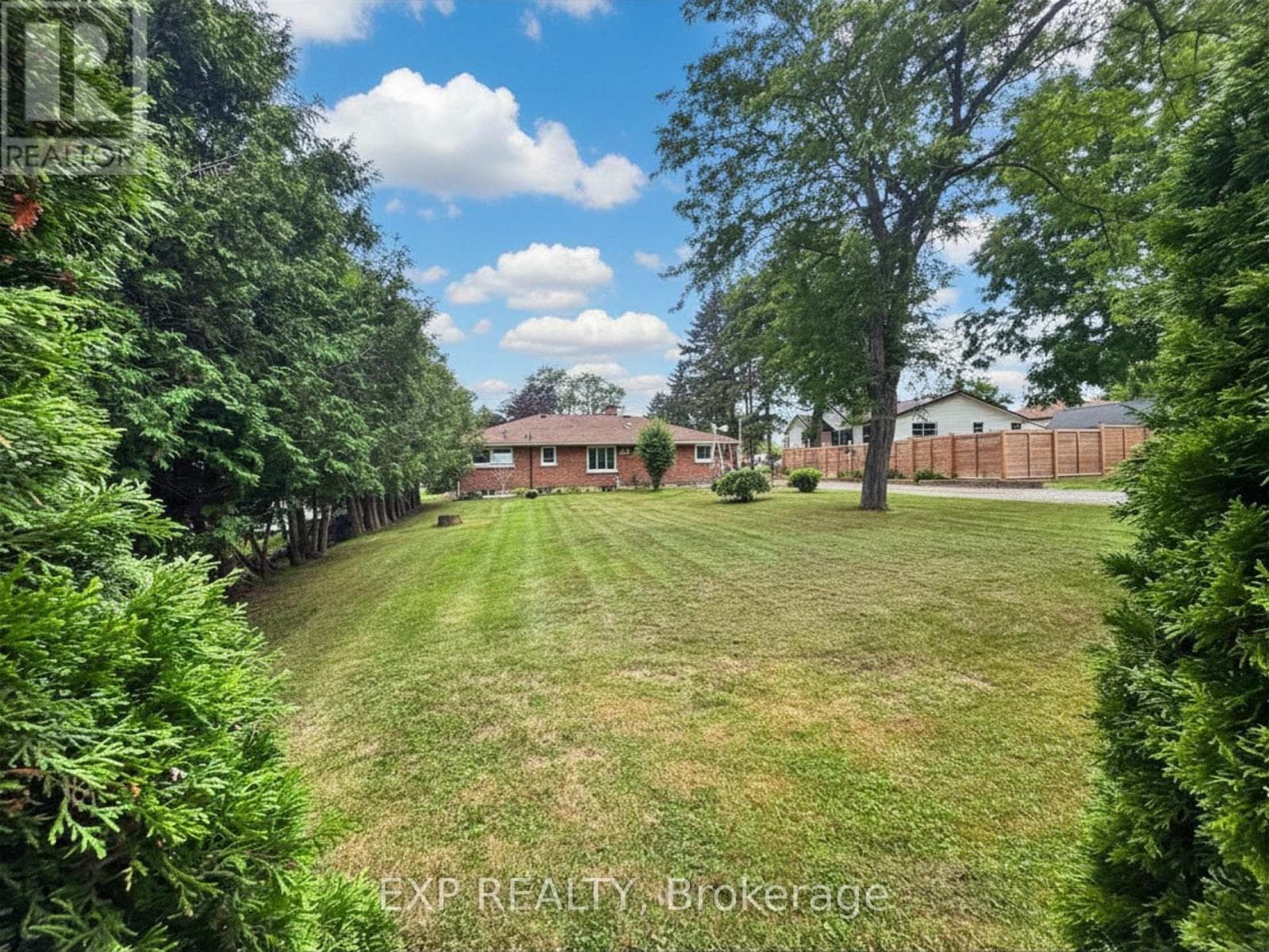 517 NORFOLK STREET SOUTH, Toronto — photo 4