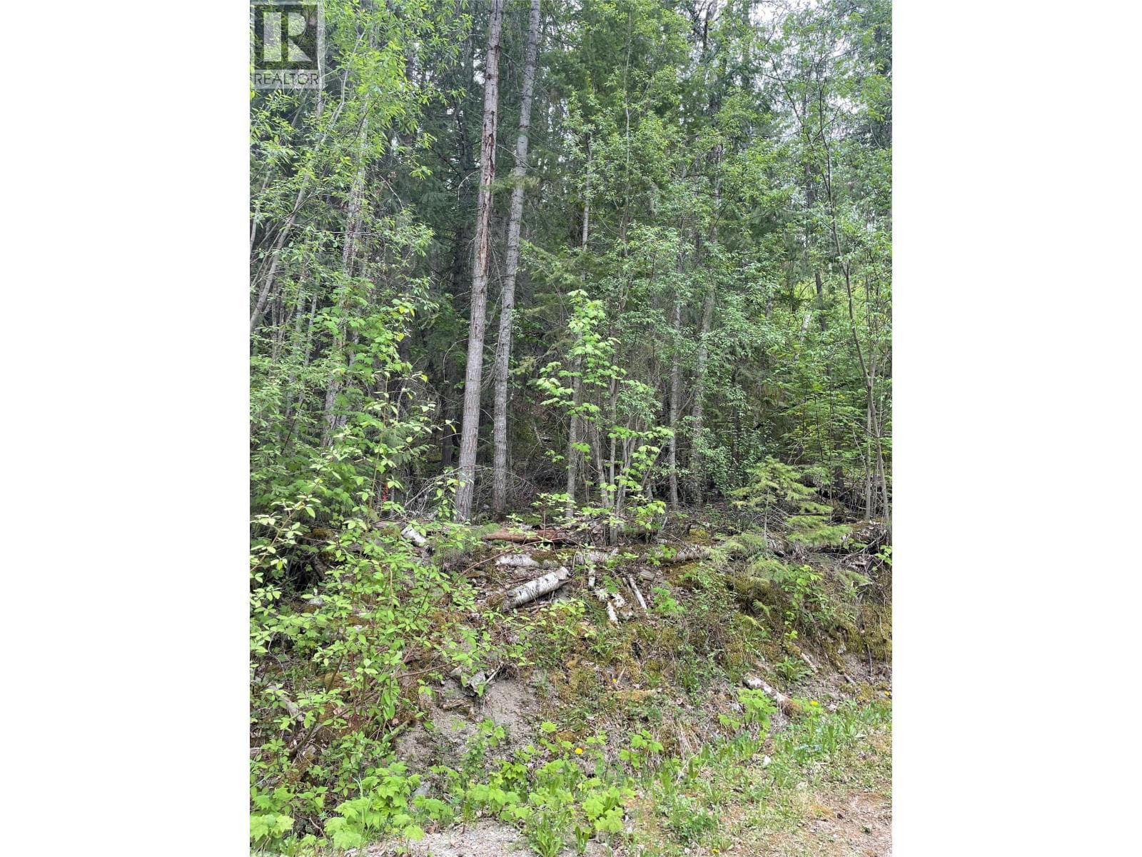 Greaves Road Lot# 24 in 