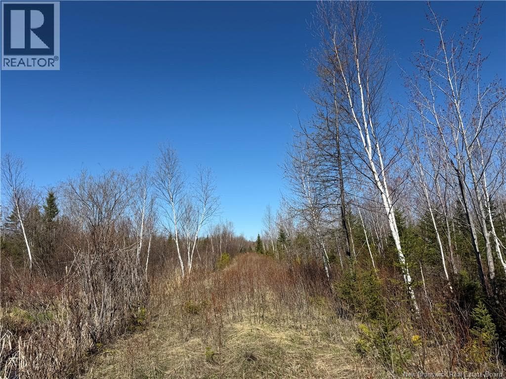 129 acres 340 Route, New Brunswick — photo 5