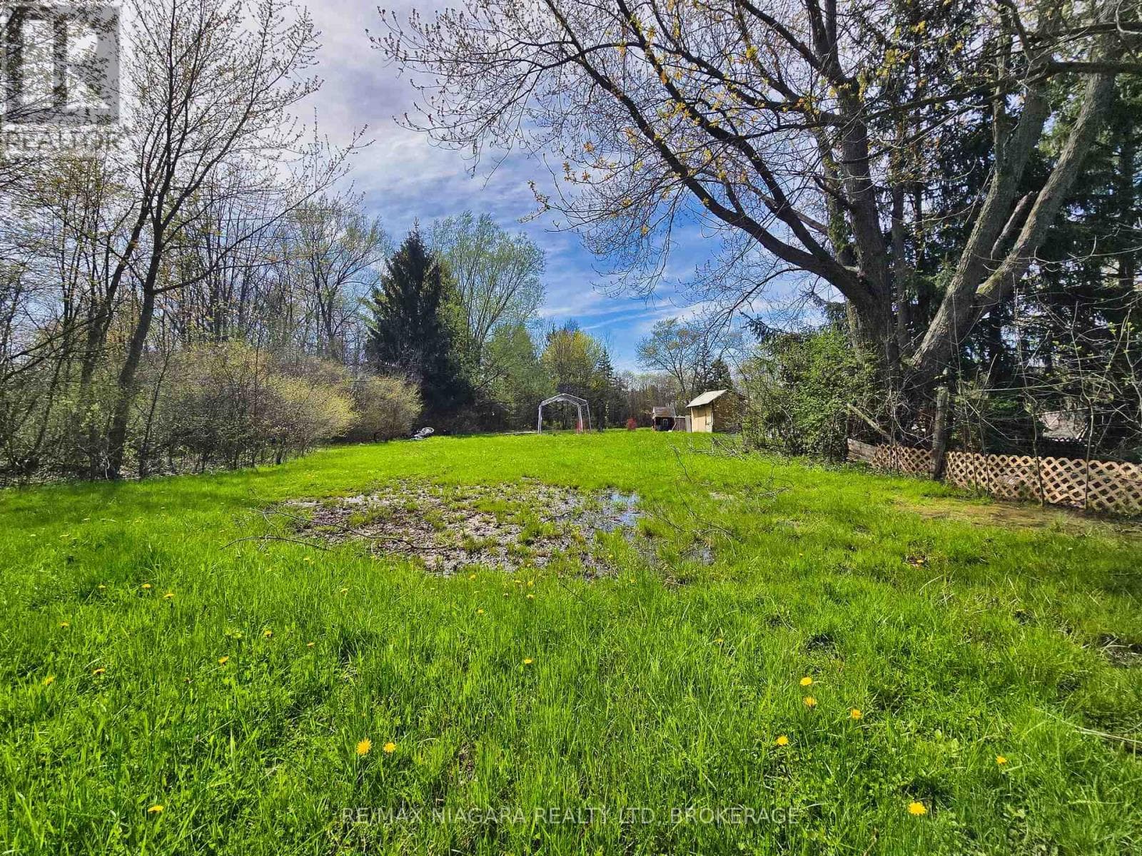 1377 MERRITTVILLE HIGHWAY, Niagara — photo 4