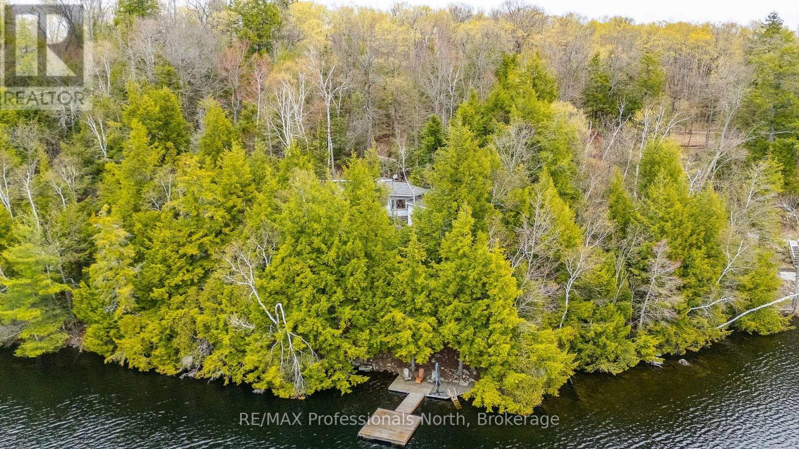 1201 TRELLIS TRAIL in 