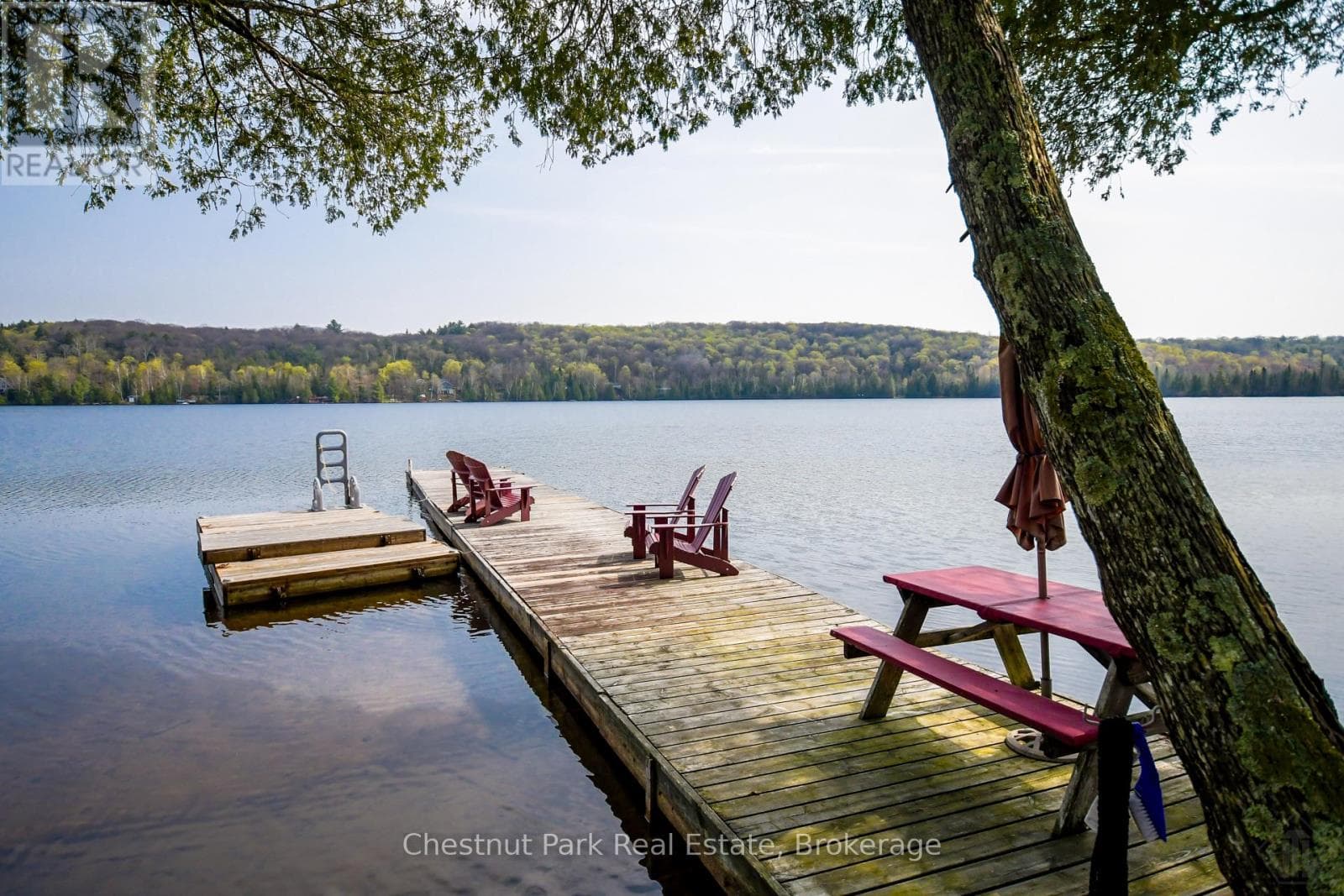 1408 BAY LAKE ROAD, OnePoint — photo 4