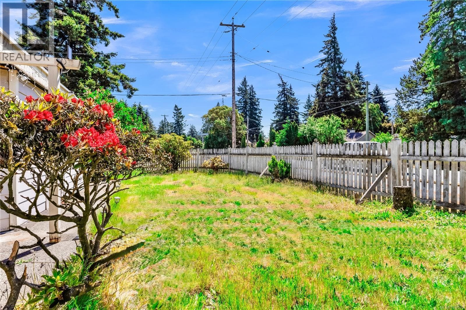 726A Kelly Rd, Victoria — photo 5