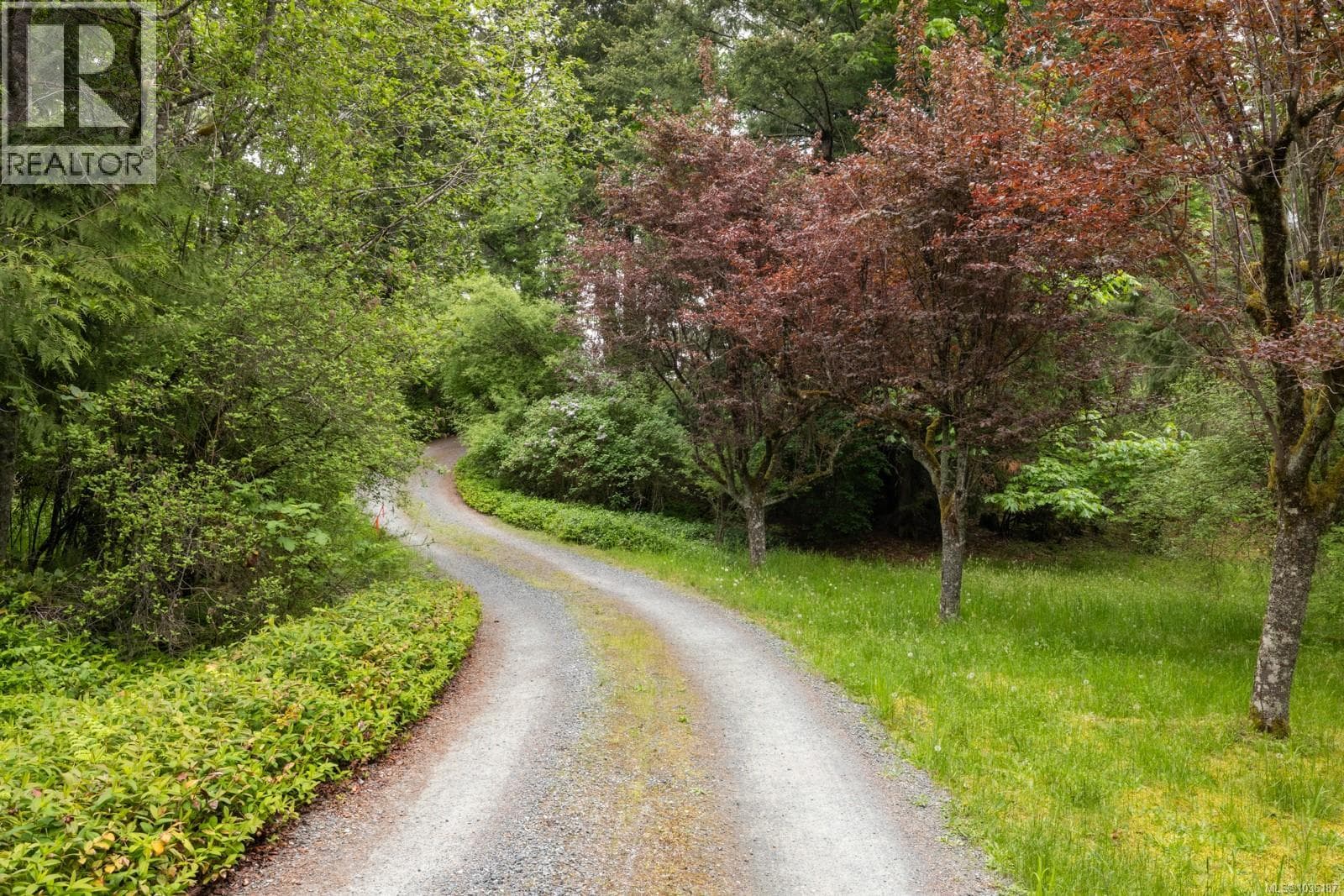 9911 PANORAMA RIDGE ROAD in 