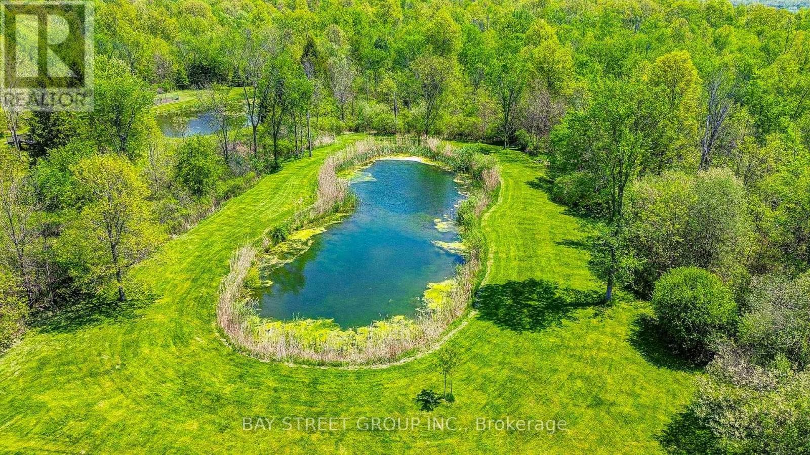 10638 WILLOUGHBY DRIVE, Toronto — photo 5