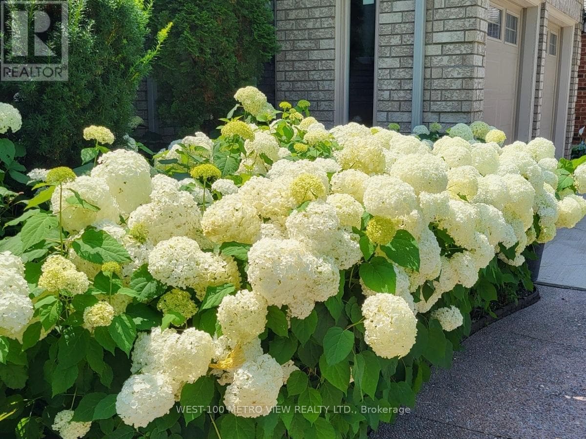 7 FAIRWAY CRESCENT, Toronto — photo 3