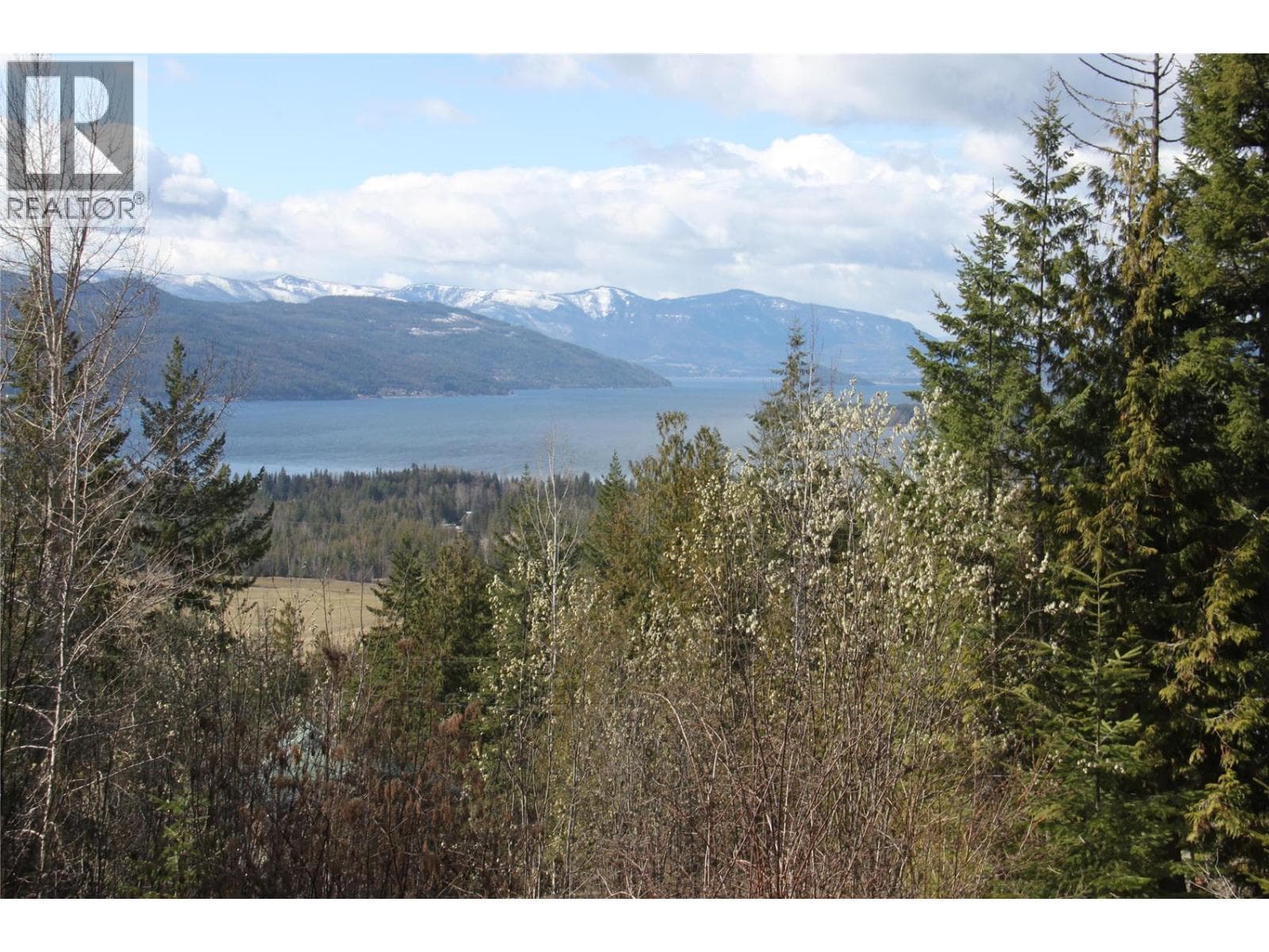397 Aspen Road, Interior REALTORS® — photo 3