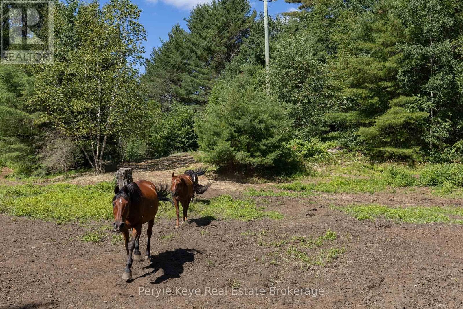 2322 OLD MUSKOKA ROAD, OnePoint — photo 4