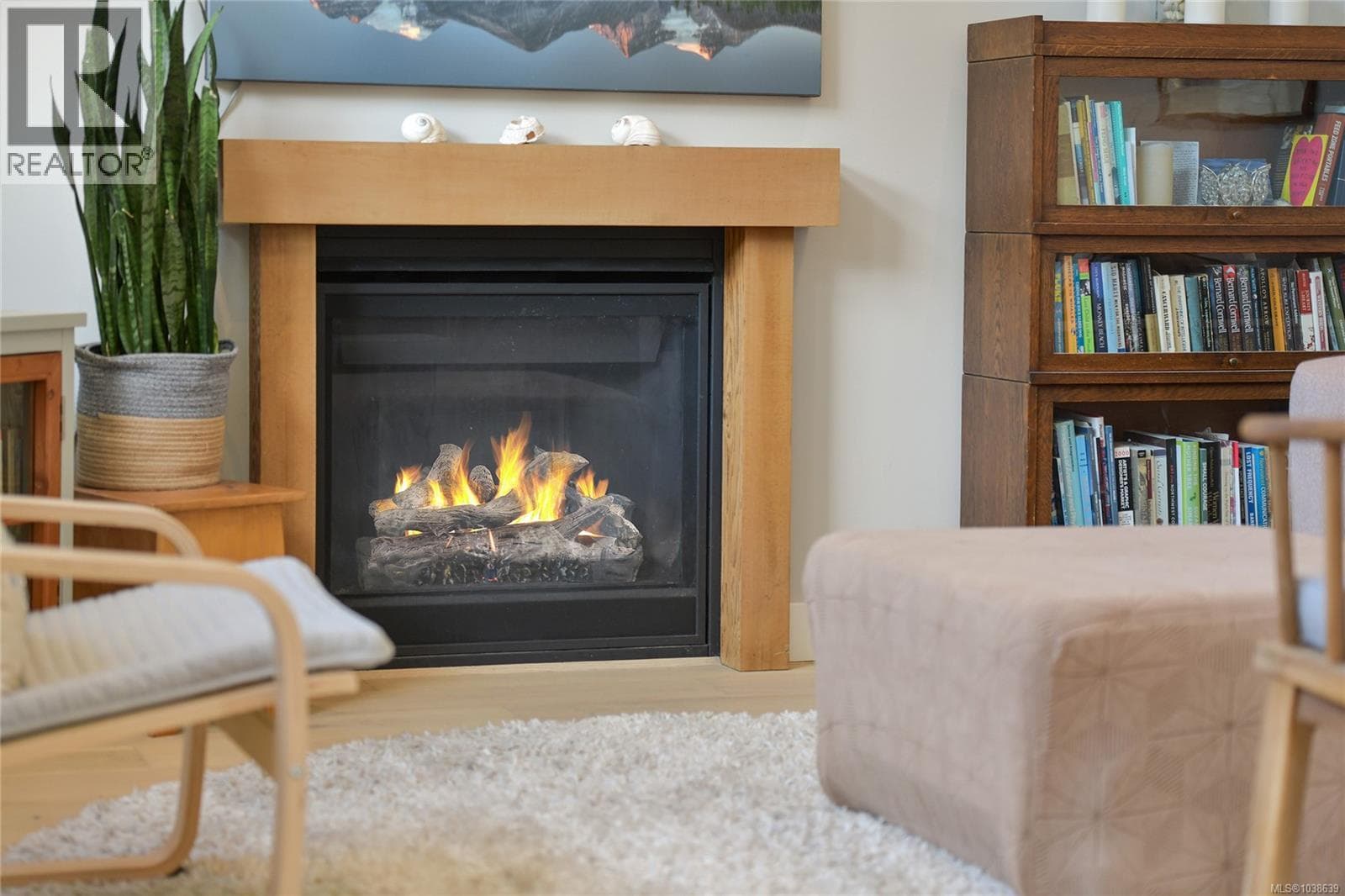 3822 TRAILHEAD DRIVE, Victoria — photo 5