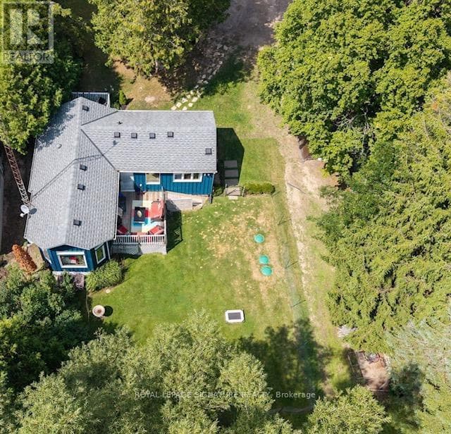 17 MUSTARD STREET in 