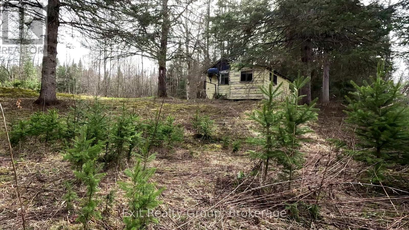 3606 COUNTY ROAD 620 in 