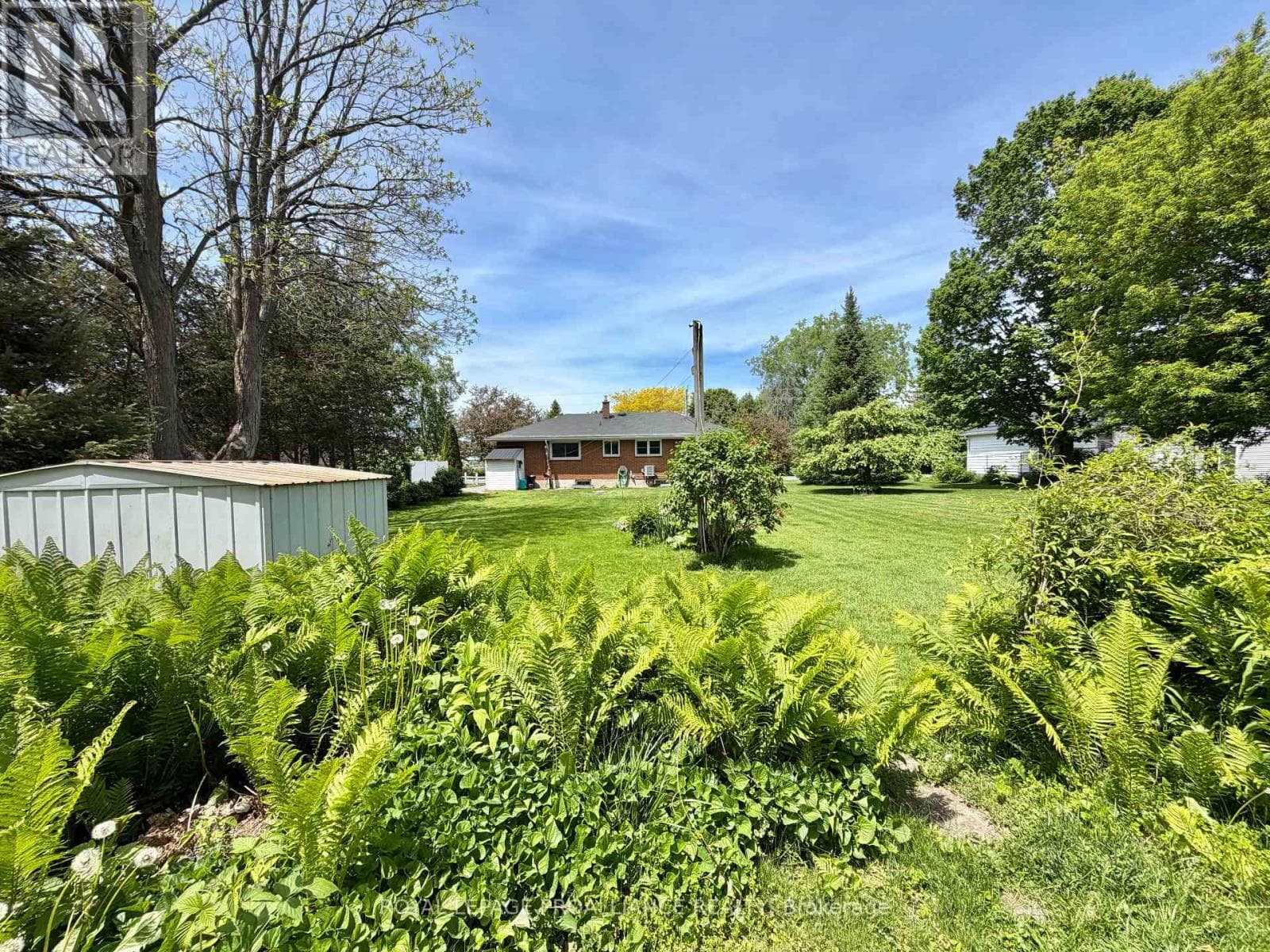 471 COUNTY ROAD 3 ROAD, Central Lakes — photo 5