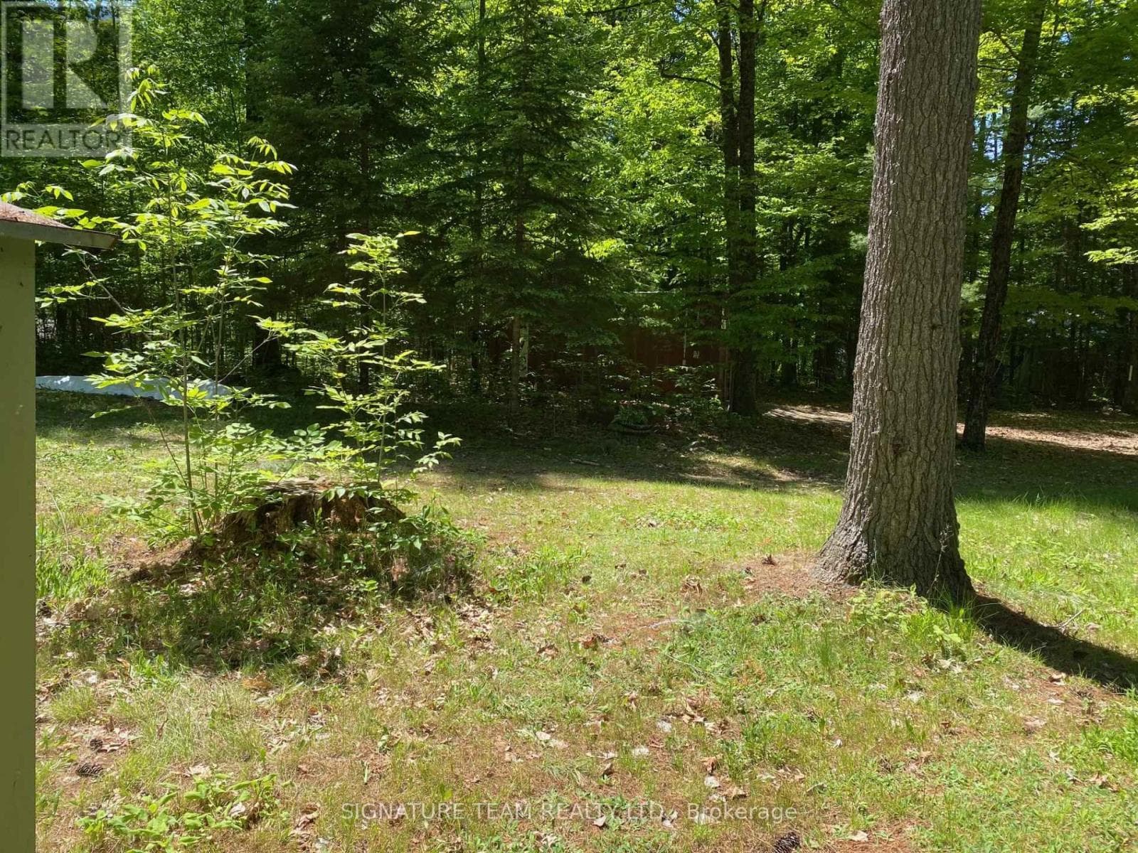 491 JESSUP ROAD, Renfrew County — photo 5