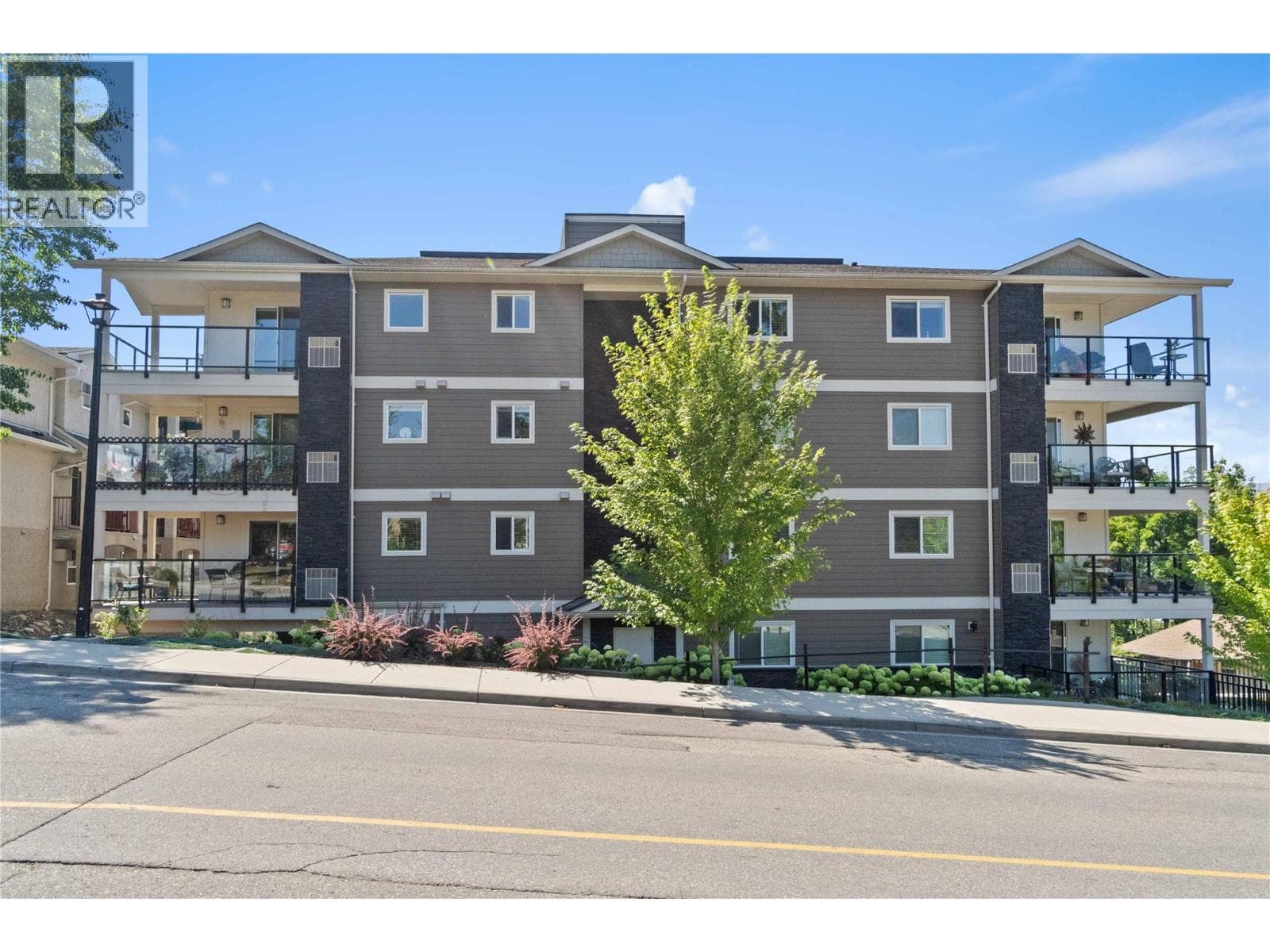 330 4 Avenue SE Unit# 202, Interior REALTORS® — photo 3