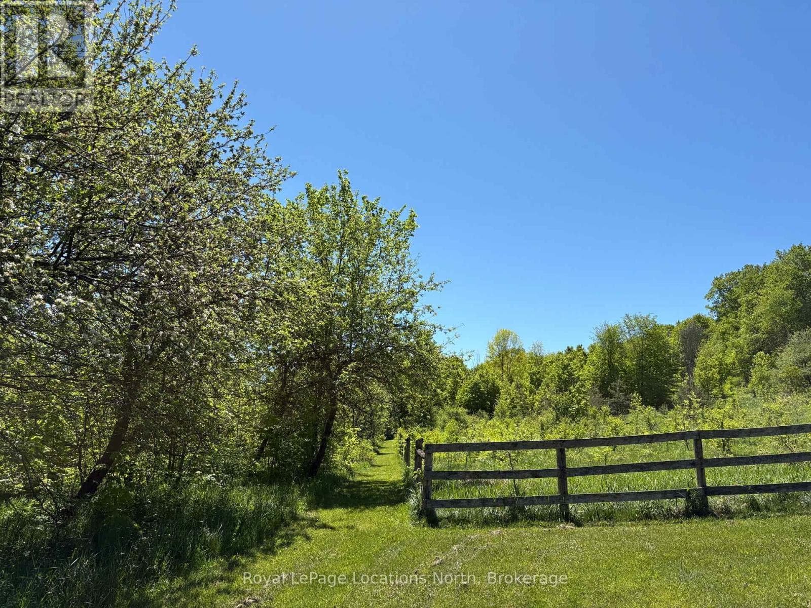 446070 JOHNSTON'S SIDE ROAD, OnePoint — photo 5