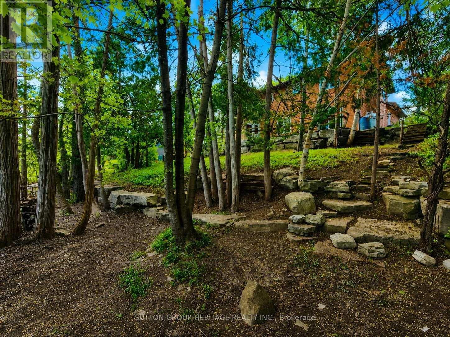 48 CEDARTREE LANE, Toronto — photo 3