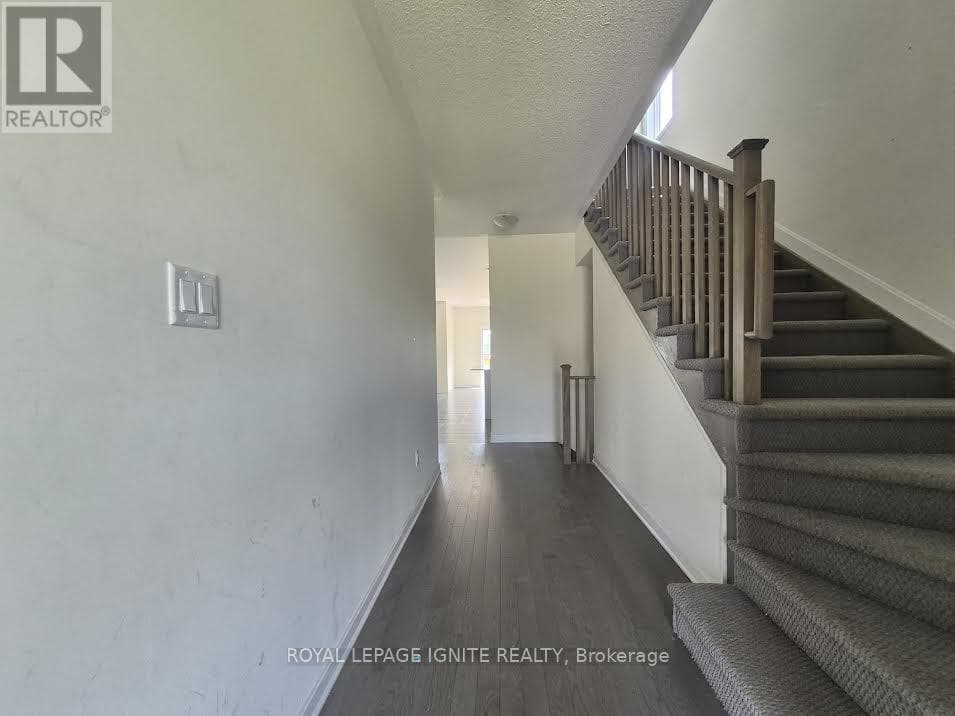 137 GILDERSLEEVE BOULEVARD, Toronto — photo 5