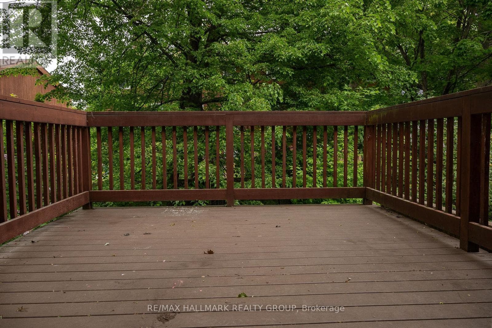 15 BIRCHDALE AVENUE, Ottawa — photo 4