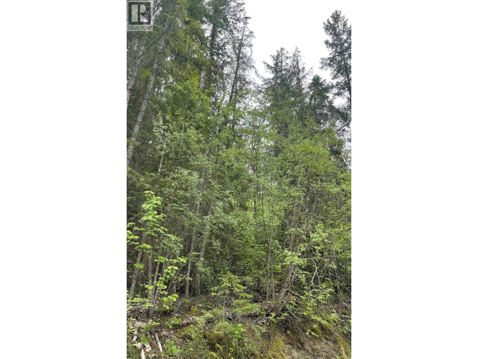 Greaves Road Lot# 24, Interior REALTORS® — photo 2