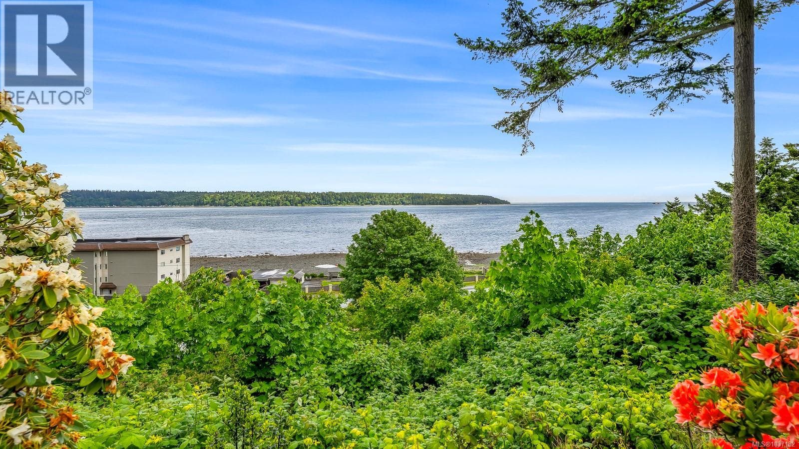 47 Ridgeview Pl, Vancouver Island — photo 4