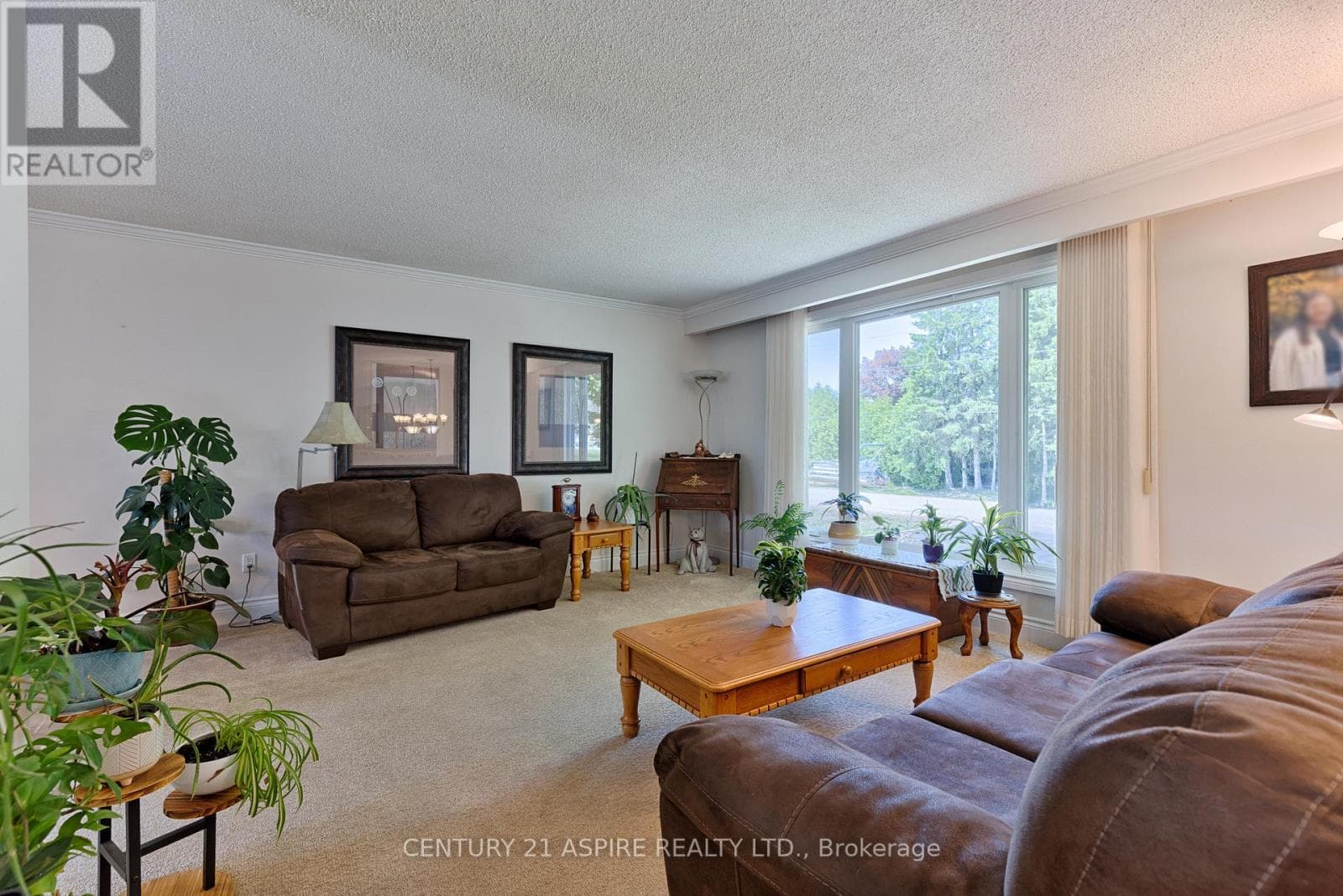 2 DORIS STREET, Renfrew County — photo 3