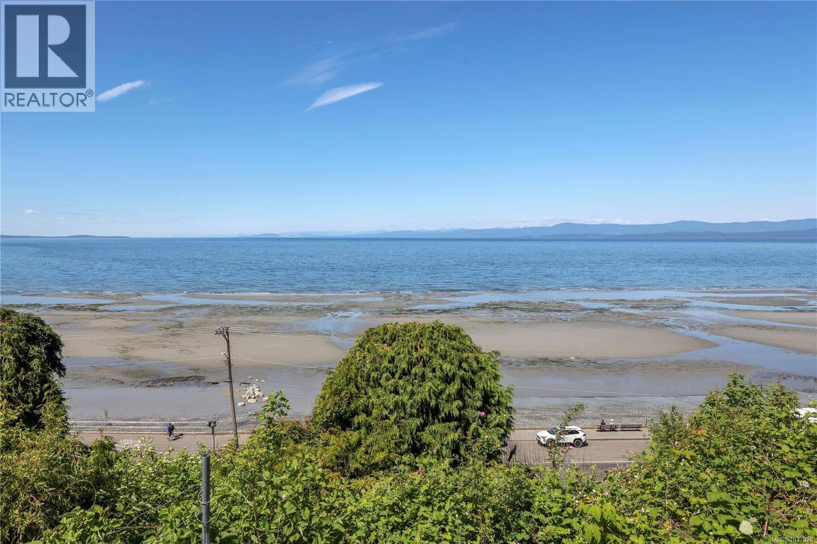 311 Poplar Ave, Vancouver Island — photo 3