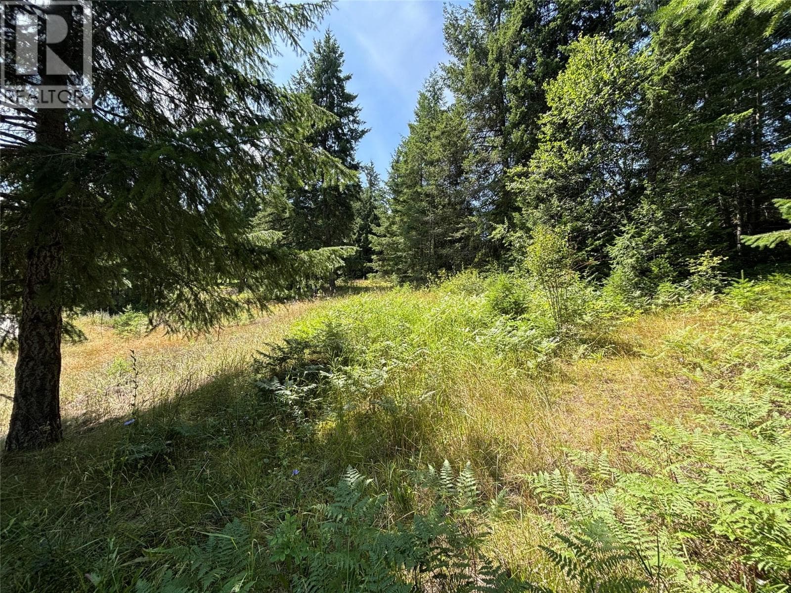 Lot 81 Mountview Drive, Interior REALTORS® — photo 5