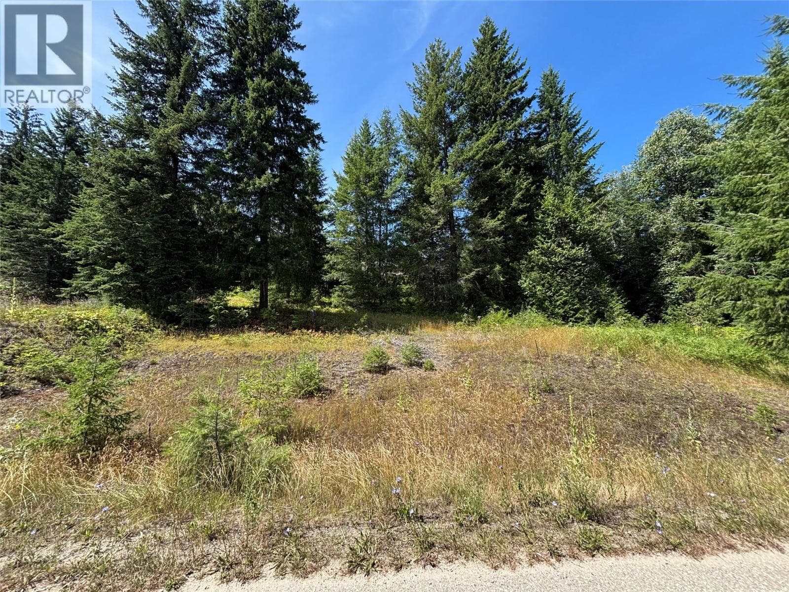 Lot 81 Mountview Drive, Interior REALTORS® — photo 4