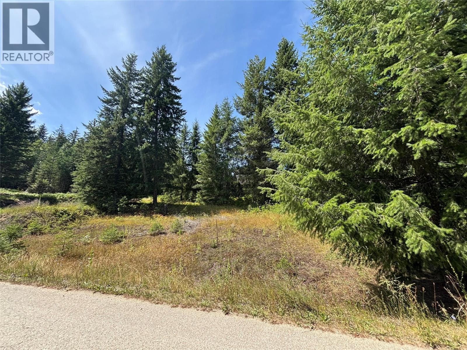 Lot 81 Mountview Drive, Interior REALTORS® — photo 2