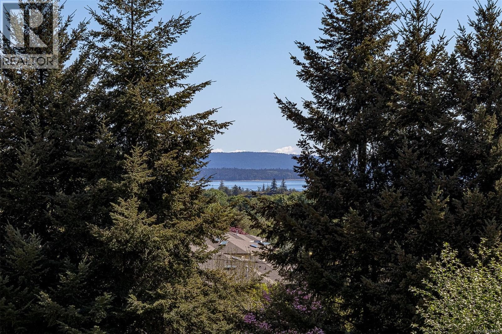 9611 ASKEW CREEK DRIVE, Vancouver Island — photo 3