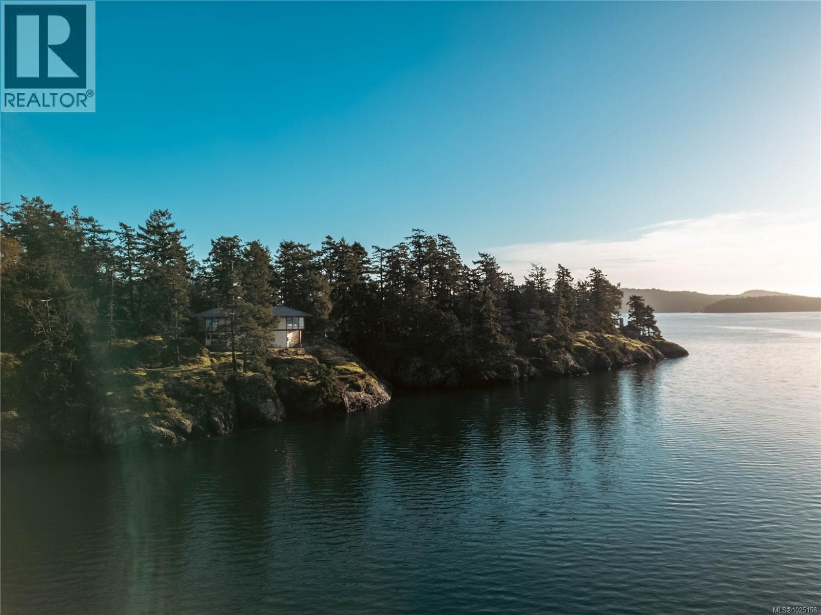 456 Scott Point Dr, Victoria — photo 3