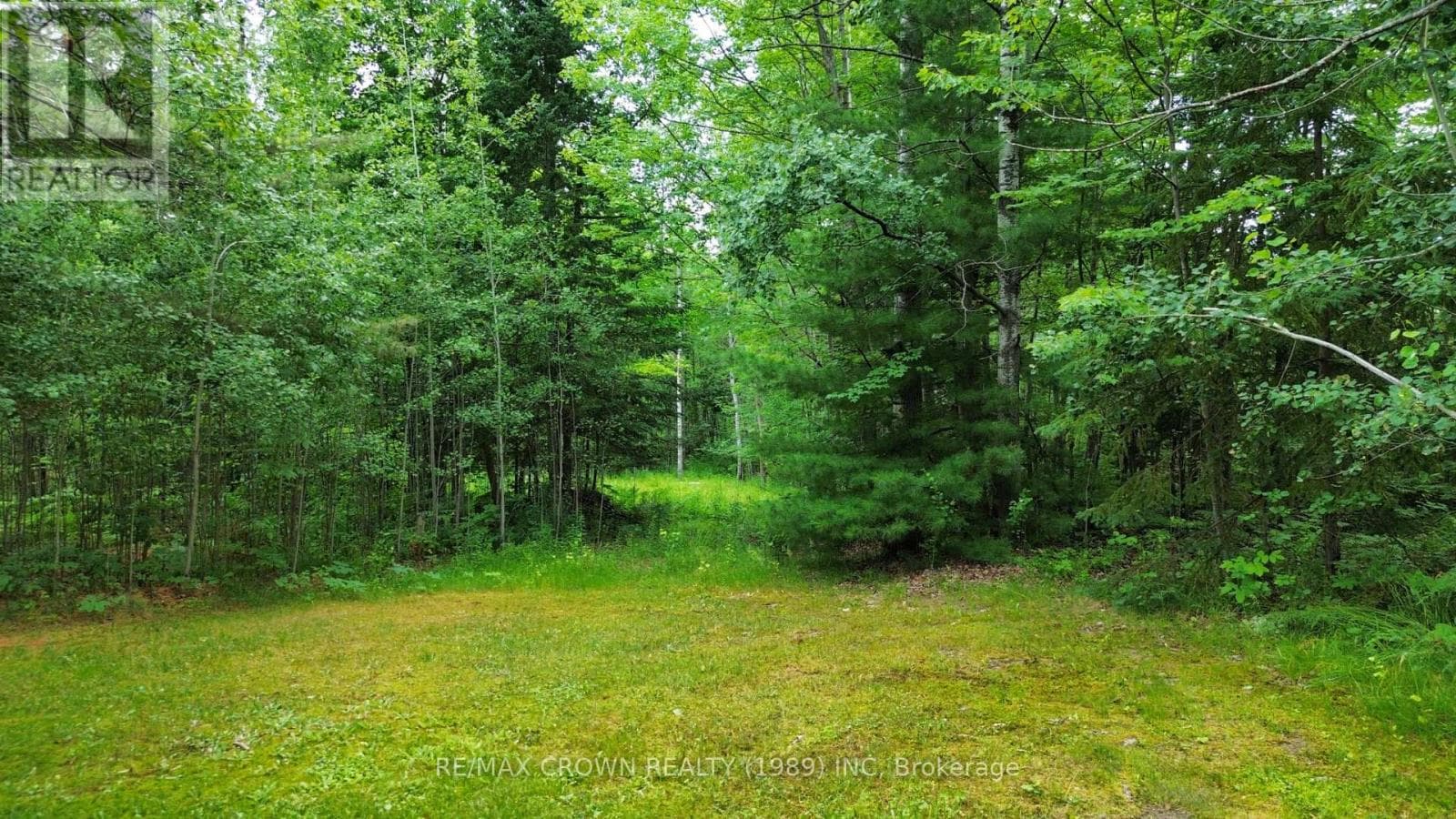 36 JONES ROAD, North Bay — photo 2