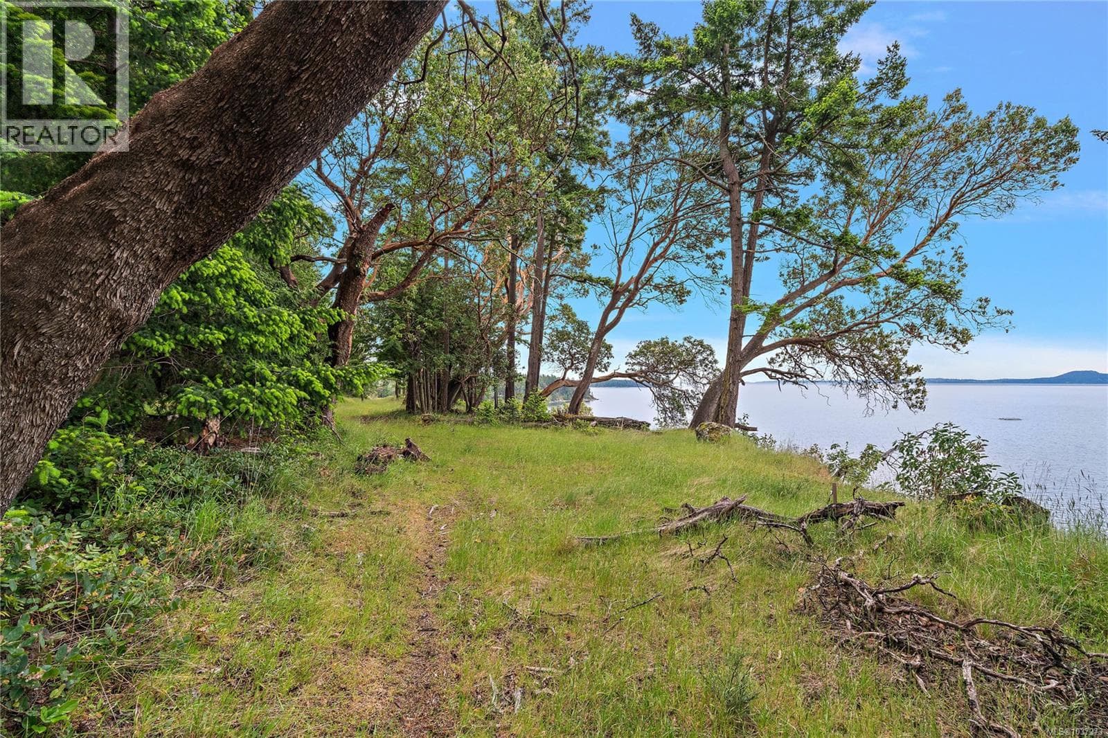 345 Evergreen Lane, Victoria — photo 4