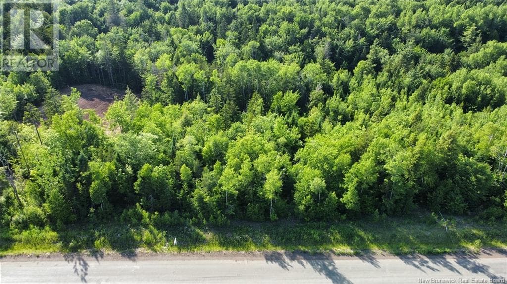 Lot 21-39 Orchard Avenue in