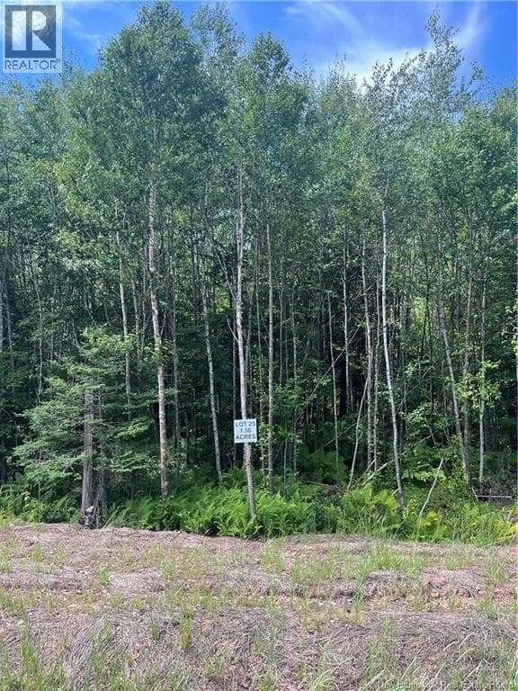 lot Cedarwood Drive in