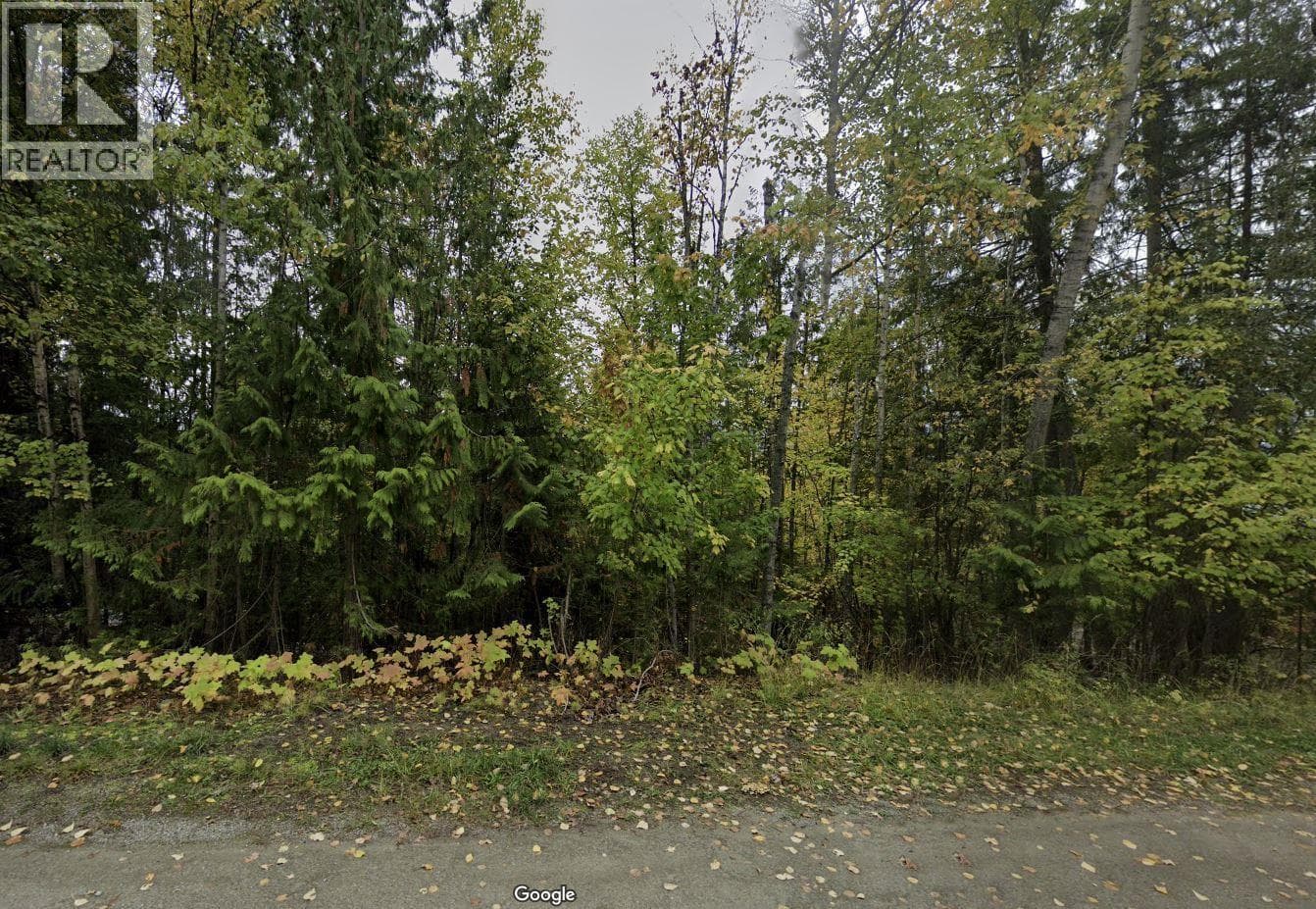 Stampede Trail Lot# 231 in